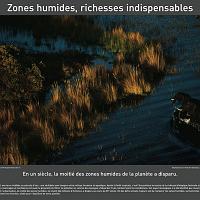 P2006 22 zones_humides 